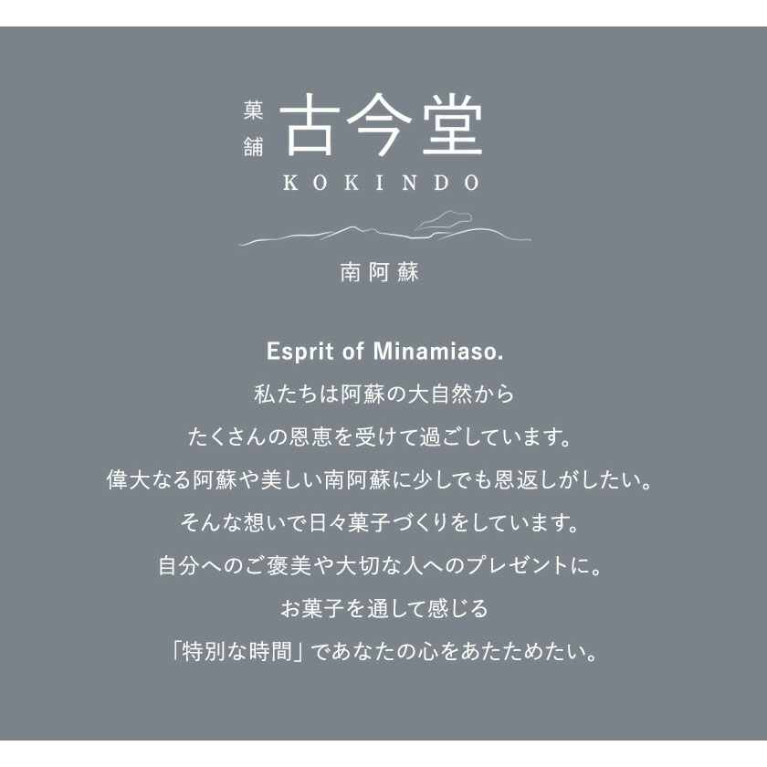 濃厚生 チーズケーキ 1592 ヒゴクニ 16個入り 古今堂 《30日以内に出荷予定(土日祝除く)》---sms_kkinczk_30d_r7_12500_16i---