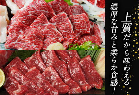 大トロ馬刺し(50g)中トロ(霜降り)馬刺し(50g)食べ比べコース【純国産熊本肥育】《30日以内に出荷予定(土日祝除く)》---mna_fjs08_30d_r7_10000---
