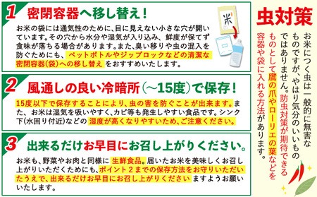 令和7年産 【3ヶ月定期便】 白米 ひのひかり 5kg 5kg×1袋《お申し込みの翌月から出荷》熊本県産 単一原料米 南阿蘇村 ひのひかり 送料無料 熊本県 米 コメ こめ 国産---hn7tei_37500_5kg_mo3_mna_h---