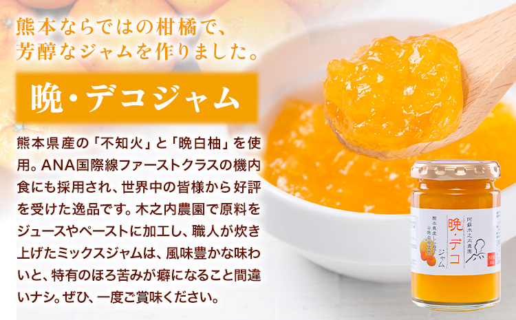 木之内農園の手作りジャム　3種食べ比べセット 150g×3本 《30日以内に出荷予定(土日祝を除く)》 熊本県南阿蘇村 ジャム いちご ブルーベリー 晩白柚 不知火 デコ 苺 大粒 乗せるジャム---isms_kinojibd_30d_r7_8500_3p---