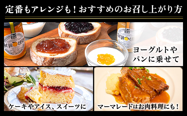 阿蘇 木之内農園 プレミアムシリーズ 5本セット 1本 150g×5 いちご ブルーベリー 不知火マーマレード はるかマーマレード 不知火ハーブマーマレード《30日以内に出荷予定(土日祝を除く)》 熊本県 南阿蘇村 ジャム スイーツ ギフトセット 送料無料---isms_kinojpfg_30d_r7_14500_5p---