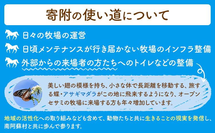 【返礼品なし】引退馬余生支援寄附 100,000円 一般社団法人オープンセサミアライブ 熊本県 南阿蘇村 馬 ウマ 支援 競走馬 引退馬 生活支援 動物愛護 保護 返礼品なし 寄附 牧場 オープンセサミ アニマルサンクチュアリ---sms_opumasien_r7_100000---