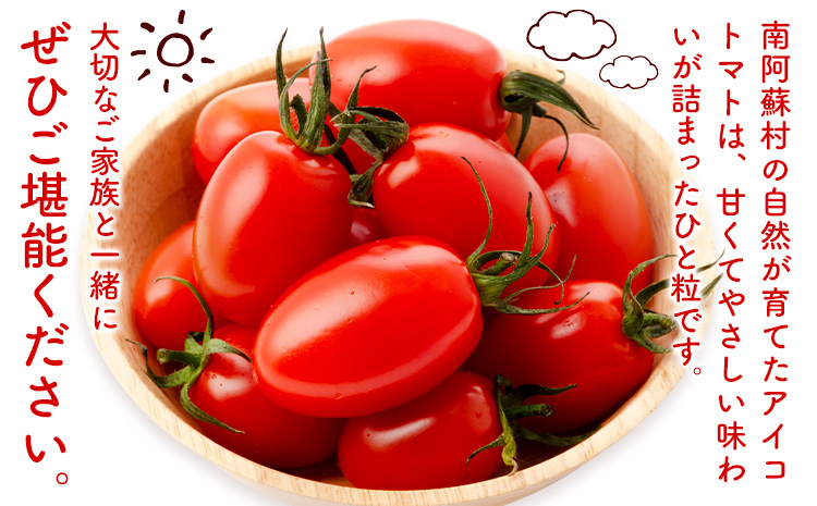 ミニトマト アイコ 約3kg ますだふぁーむ《7月上旬-11月末頃出荷》熊本県 南阿蘇村 アイコトマト 野菜 旬 夏野菜 トマト---sms_msf_af711_r7_13500_3kg---