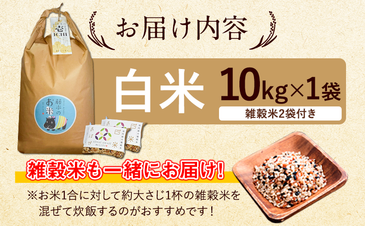 令和7年産 米 いのちの壱(白米) 10kg(10kg×1袋) 雑穀米 付《60日以内に出荷予定(土日祝除く)》熊本県 南阿蘇村 南阿蘇 虹色のかば---sms_inci6_60d_r7_33500_h10kg---