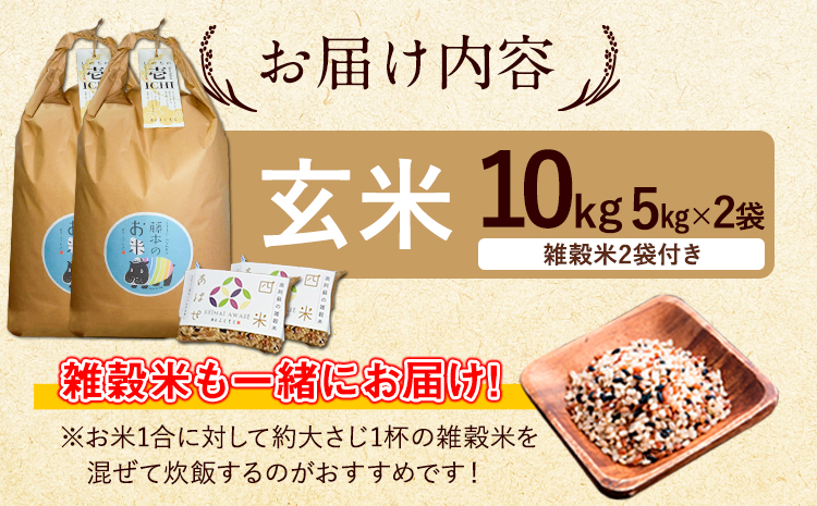 令和7年産 米 いのちの壱(玄米) 10kg 5kg×2 雑穀米 付《60日以内に出荷予定(土日祝除く)》熊本県 南阿蘇村 南阿蘇 虹色のかば---sms_inci6_60d_r7_30000_g10kg2---