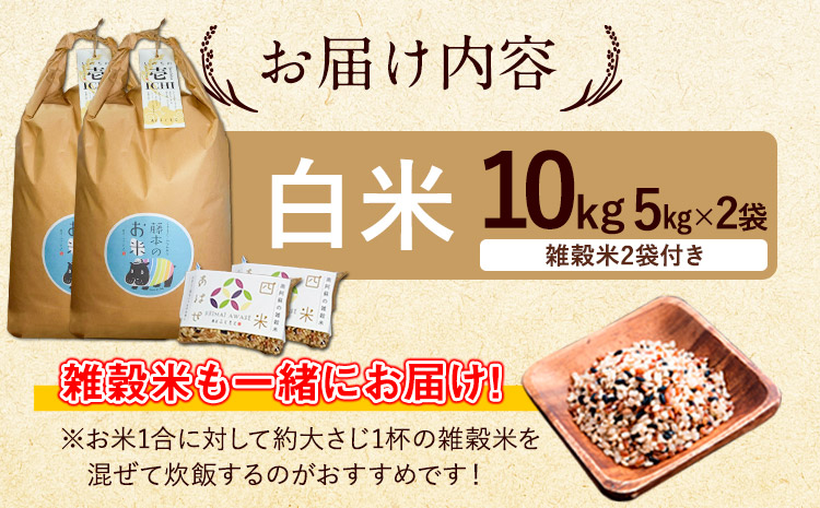 令和7年産 米 いのちの壱(白米) 10kg(5kg×2袋)  雑穀付《60日以内に出荷予定(土日祝除く)》熊本県 南阿蘇村 南阿蘇 虹色のかば---sms_inci6_60d_r7_33500_h10kg2---
