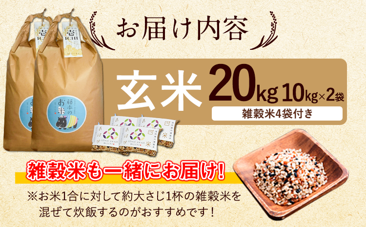 令和7年産 米 いのちの壱(玄米) 20kg 10kg×2 雑穀付《60日以内に出荷予定(土日祝除く)》熊本県 南阿蘇村 南阿蘇 虹色のかば---sms_inci6_60d_r7_60000_20kg---