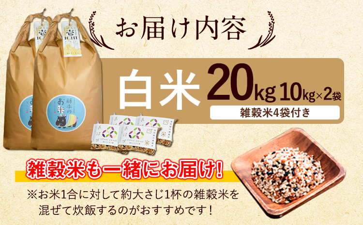 令和7年産 米 いのちの壱(白米) 20kg(10kg×2袋) 雑穀付《60日以内に出荷予定(土日祝除く)》熊本県 南阿蘇村 南阿蘇 虹色のかば---sms_inci6_60d_r7_67000_20kg---