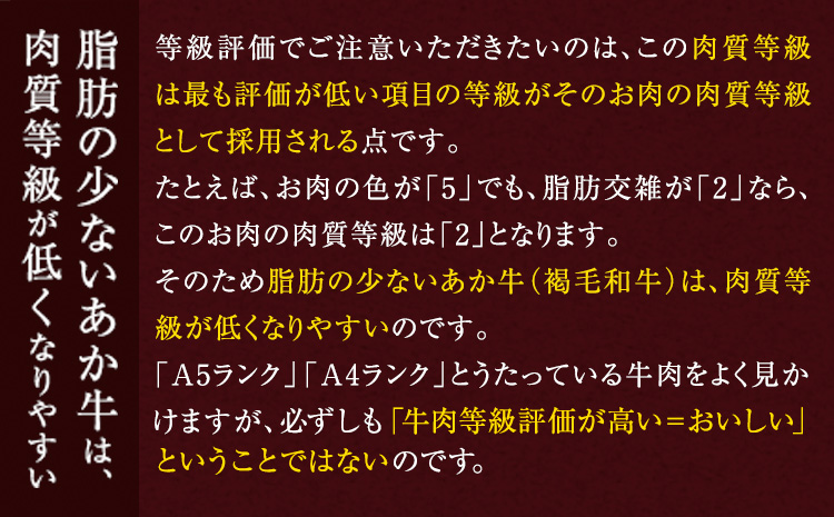 ステーキ 赤身 牛肉 サーロインステーキ 肉 あか牛 小分け 熊本県産 500g 赤牛《2026年1月中旬-3月末頃出荷》---mna_faksir_bc13_r7_13500_500g---