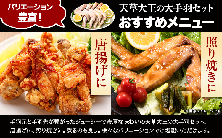 【幻の地鶏】天草大王大手羽セット ４本入り 約650g以上 大海水産株式会社《45日以内に出荷予定(土日祝除く)》地鶏 ---sms_fadotb_45d_r7_11500_650g---