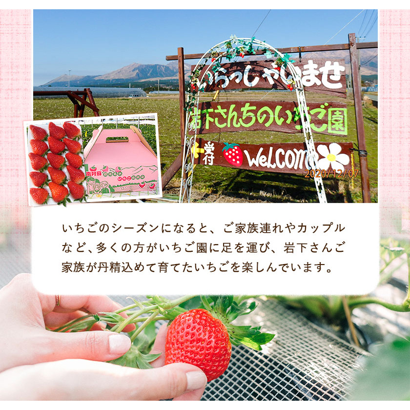 アイス 岩下さんちの いちご 園 ミルフィーユ アイス 2000ml 熊本県 南阿蘇《60日以内に出荷予定(土日祝除く)》---isms_fiwmfyais_60d_r7_16500_2l---