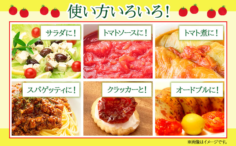 ぷりうまミニトマト ドライミニトマト セット 計900g トマト ミニトマト 野菜 GTOファーム 熊本県 南阿蘇村《30日以内に出荷予定(土日祝除く)》---sms_cgtomtmt_30d_r7_16000_900g---