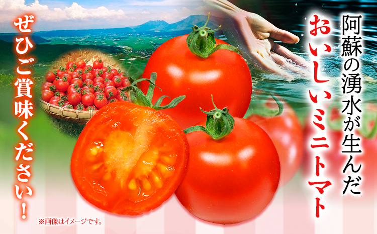 ぷりうまミニトマト 1.2kg (200g × 6袋) 破損保証約100g含む トマト ミニトマト 野菜 GTOファーム 熊本県 南阿蘇村《30日以内に出荷予定(土日祝除く)》---sms_cgtomtmt_30d_r7_13000_1200g---