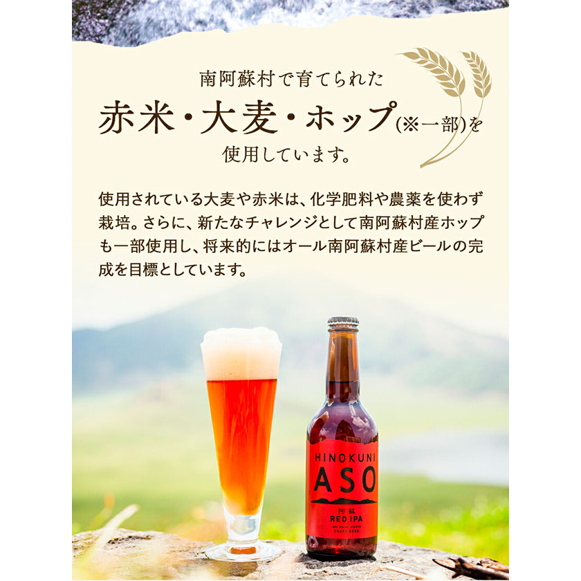 みなみ阿蘇 ビール 阿蘇レッド IPA 330ml×6本セット 株南阿蘇ケアサービス 《90日以内に出荷予定(土日祝除く)》---sms_carebred_90d_r7_15000_6i---