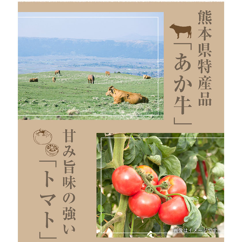 ちきゅうや むらのハヤシルー 200g×4食セット 計800g 《30日以内に出荷予定(土日祝除く)》 熊本県 南阿蘇村 ルー ---sms_fckyhys_30d_r7_13000_800g---