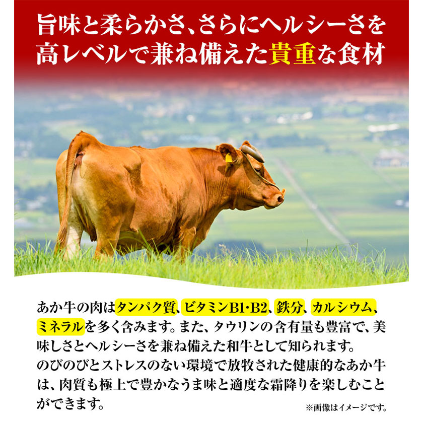肉 和牛 あか牛リブローススライスセット 400g 三協畜産《60日以内に出荷予定(土日祝除く)》---sms_fskarbrss_r7_60d_19500_400g---