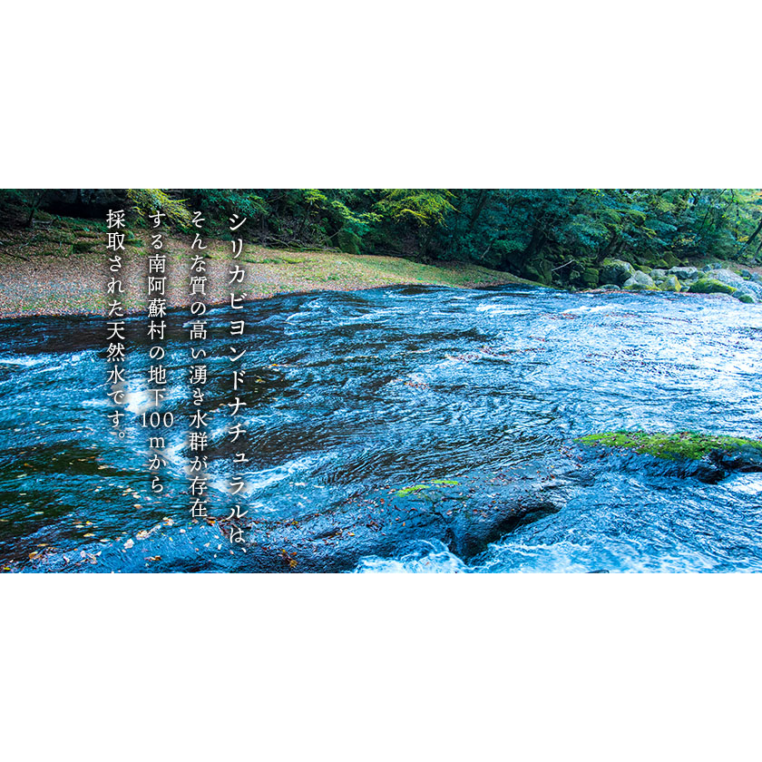 シリカビヨンドナチュラル330ml×20本入 ルーシッド株《90日以内に出荷予定(土日祝除く)》水---sms_rusidnatur_90d_r7_13000_20i---