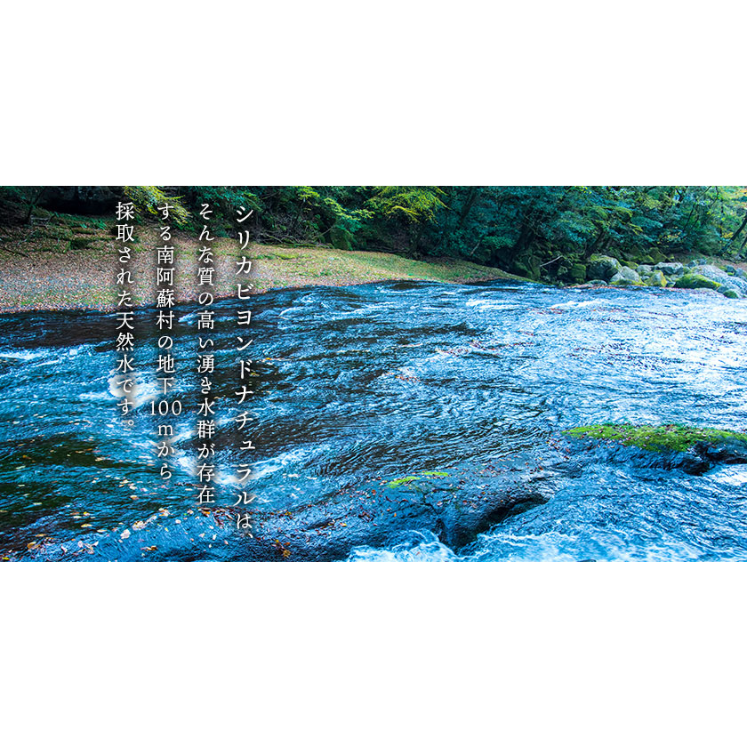 シリカビヨンドナチュラルラベルレス300ml×30本入 ルーシッド株式会社 《90日以内に出荷予定(土日祝除く)》水 ---sms_rusidrbll_90d_r7_17000_30i---