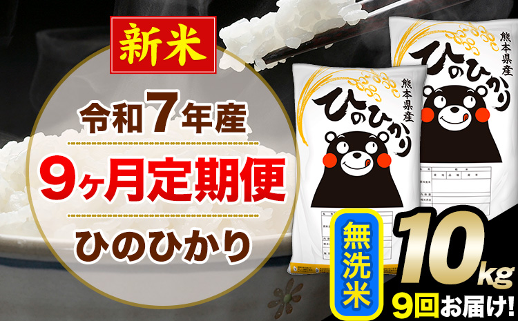 新米 令和7年産 無洗米 【9ヶ月定期便】 ひのひかり 10kg《お申込月の翌月から出荷開始》 無洗米 精米 熊本県産(南阿蘇村産含む) 単一原料米 南阿蘇村 ひの 送料無料 熊本県 SDGs むせんまい 米 コメ こめ 国産 定期便---hn7tei_220500_10kg_mo9_mna_m---