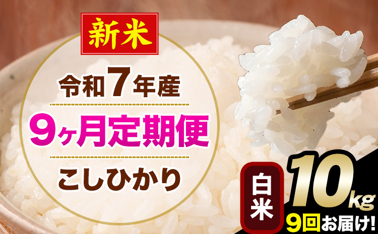 新米 令和7年産 【9ヶ月定期便】 こしひかり 10kg 白米 精米 熊本県産(南阿蘇村産含む) 単一原料米 南阿蘇村 産 米 定期便《お申込月の翌月から出荷開始》---kh7tei_220500_10kg_mo9_mna_h---