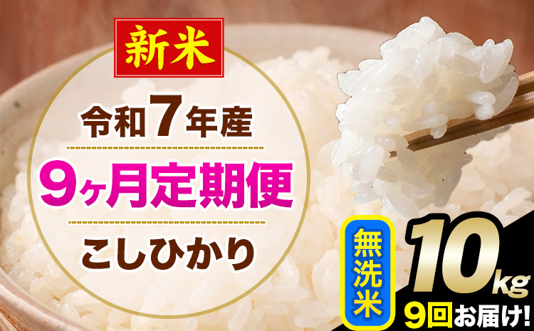 新米 令和7年産 【9ヶ月定期便】 こしひかり 10kg 無洗米 熊本県産(南阿蘇村産含む) 単一原料米 南阿蘇村 産 米 定期便《お申込月の翌月から出荷開始》---kh7tei_220500_10kg_mo9_mna_m---
