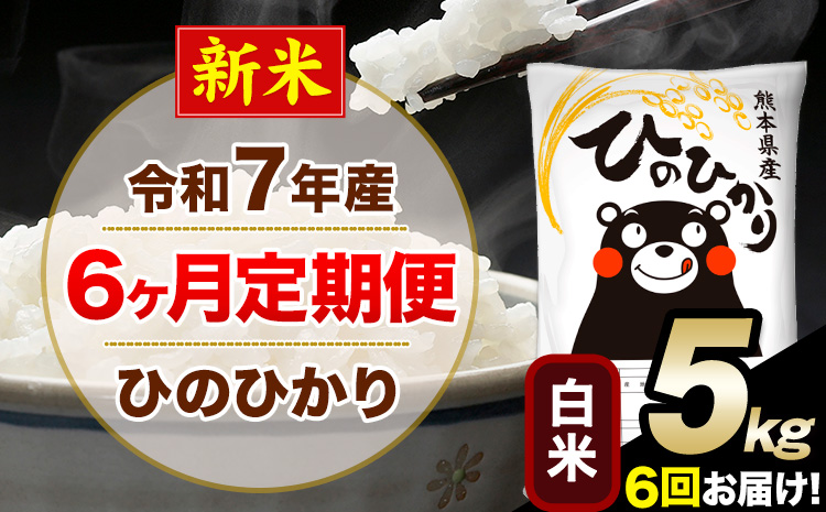 新米 令和7年産【6ヶ月定期便】白米 ひのひかり 5kg 5kg×1袋《お申し込みの翌月から出荷》熊本県産 単一原料米 南阿蘇村 ひのひかり 送料無料 熊本県 米 コメ こめ 国産---hn7tei_75000_5kg_mo6_mna_h---