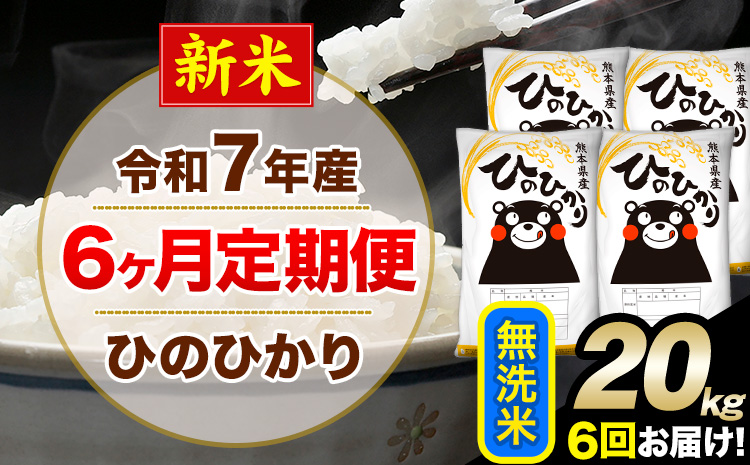 新米 令和7年産 【6ヶ月定期便】 無洗米 ひのひかり 20kg 5kg×4袋《お申し込みの翌月から出荷》熊本県産 単一原料米 南阿蘇村 ひのひかり 送料無料 熊本県 米 コメ こめ 国産---hn7tei_291000_20kg_mo6_mna_m---