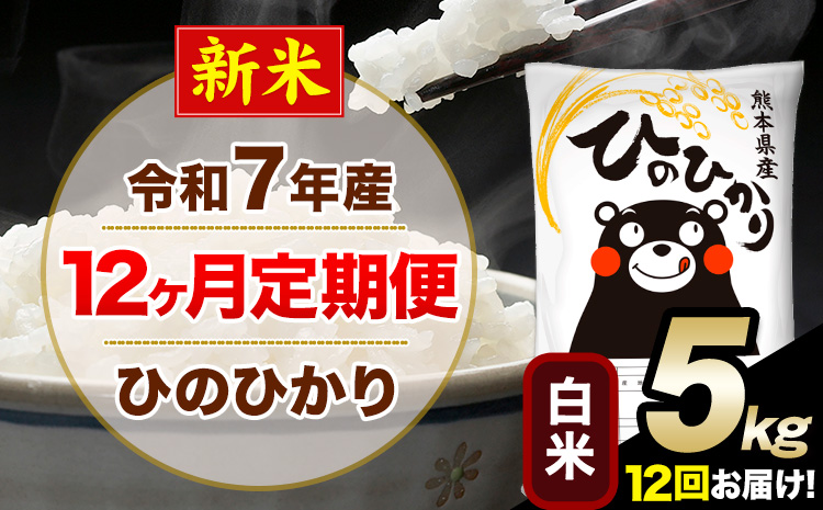 新米 令和7年産【12ヶ月定期便】 白米 ひのひかり 5kg 5kg×1袋《お申し込みの翌月から出荷》熊本県産 単一原料米 南阿蘇村 ひのひかり 送料無料 熊本県 米 コメ こめ 国産---hn7tei_150000_5kg_mo12_mna_h---