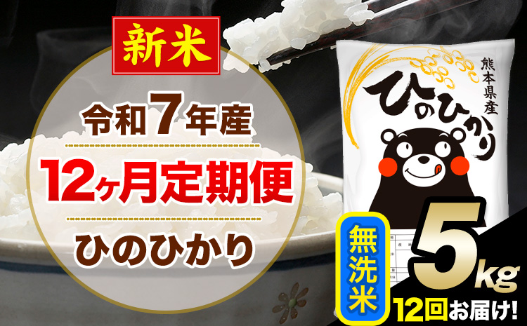 新米 令和7年産【12ヶ月定期便】 無洗米 ひのひかり 5kg 5kg×1袋《お申し込みの翌月から出荷》熊本県産 単一原料米 南阿蘇村 ひのひかり 送料無料 熊本県 米 コメ こめ 国産---hn7tei_150000_5kg_mo12_mna_m---