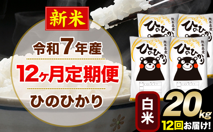 新米 令和7年産【12ヶ月定期便】 白米 ひのひかり 20kg 5kg×4袋《お申し込みの翌月から出荷》熊本県産 単一原料米 南阿蘇村 ひのひかり 送料無料 熊本県 米 コメ こめ 国産---hn7tei_582000_20kg_mo12_mna_h---