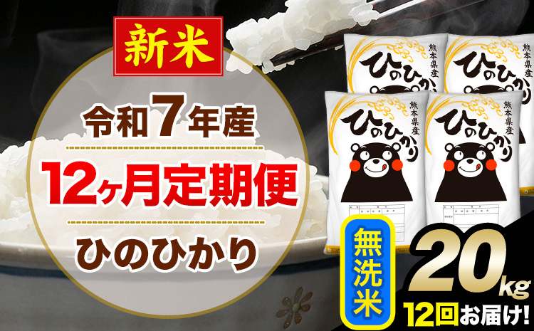 新米 令和7年産【12ヶ月定期便】 無洗米 ひのひかり 20kg 5kg×4袋《お申し込みの翌月から出荷》熊本県産 単一原料米 南阿蘇村 ひのひかり 送料無料 熊本県 米 コメ こめ 国産---hn7tei_582000_20kg_mo12_mna_m---