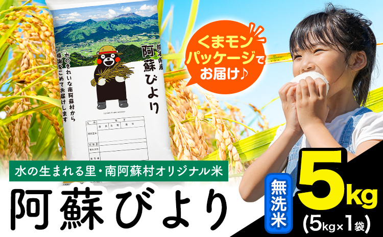 無洗米 訳あり 5kg (5kg×1袋) 熊本県産 阿蘇びより《7-14日以内に出荷予定(土日祝除く)》 お米 熊本県 南阿蘇村 阿蘇---mna_aby_r7_m_5kg_11500_wx--- 5kg (5kg×1袋)