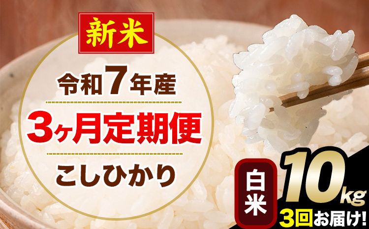 【3ヶ月定期便】新米 令和7年産 定期便 こしひかり 白米 定期便 10kg 精米 熊本県産(南阿蘇村産含む) 単一原料米 南阿蘇村《お申し込みの翌月から出荷》---kh7tei_73500_10kg_mo3_mna_h---