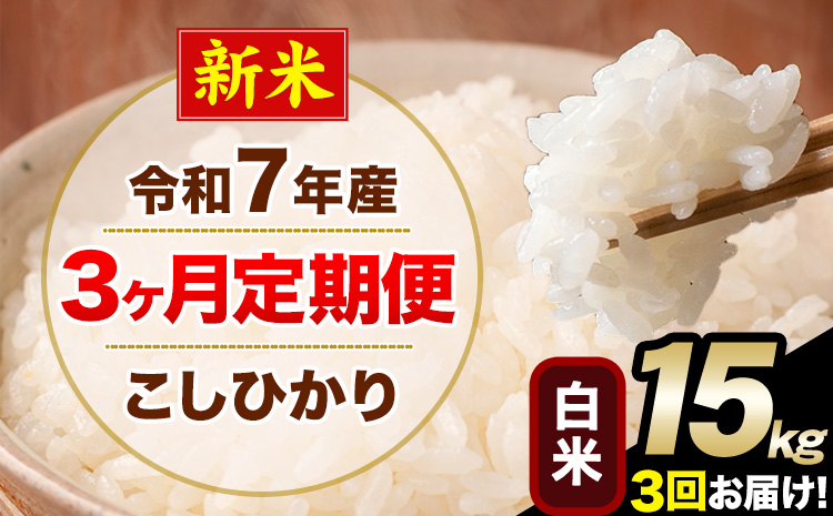 【3ヶ月定期便】新米 令和7年産 定期便 こしひかり 白米 定期便 15kg 精米 熊本県産(南阿蘇村産含む) 単一原料米 南阿蘇村《お申し込みの翌月から出荷》---kh7tei_109500_15kg_mo3_mna_h---