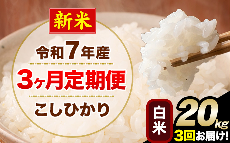 【3ヶ月定期便】新米 令和7年産 定期便 こしひかり 白米 定期便 20kg 精米 熊本県産(南阿蘇村産含む) 単一原料米 南阿蘇村《お申し込みの翌月から出荷》---kh7tei_145500_20kg_mo3_mna_h---