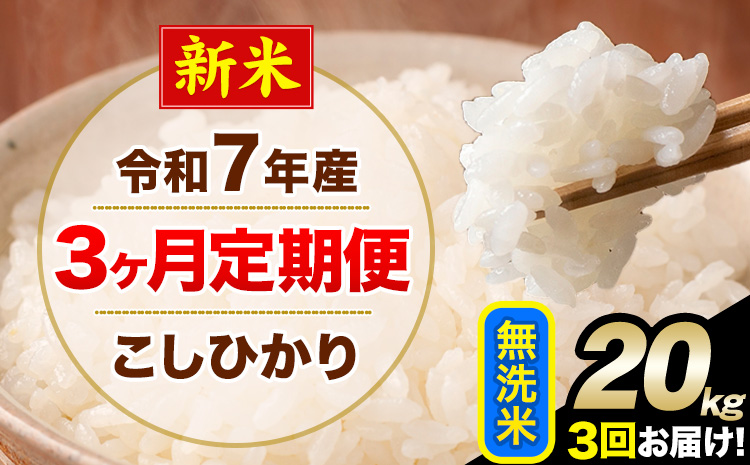 【3ヶ月定期便】新米 令和7年産  定期便 こしひかり 無洗米 定期便 20kg 精米 熊本県産(南阿蘇村産含む) 単一原料米 南阿蘇村《お申し込みの翌月から出荷》---kh7tei_145500_20kg_mo3_mna_m---