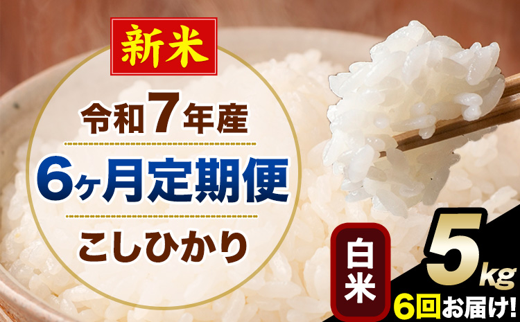 【6ヶ月定期便】新米 令和7年産 定期便 こしひかり 白米 定期便 5kg 精米 熊本県産(南阿蘇村産含む) 単一原料米 南阿蘇村《お申し込みの翌月から出荷》---kh7tei_75000_5kg_mo6_mna_h---