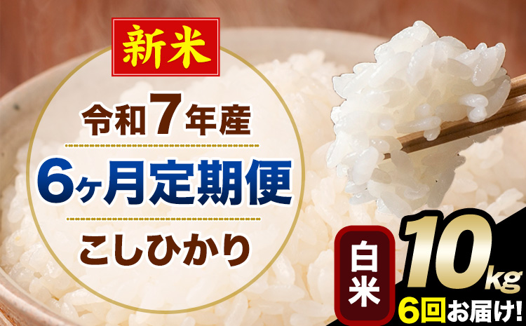 【6ヶ月定期便】新米 令和7年産 定期便 こしひかり 白米 定期便 10kg 精米 熊本県産(南阿蘇村産含む) 単一原料米 南阿蘇村《お申し込みの翌月から出荷》---kh7tei_147000_10kg_mo6_mna_h---