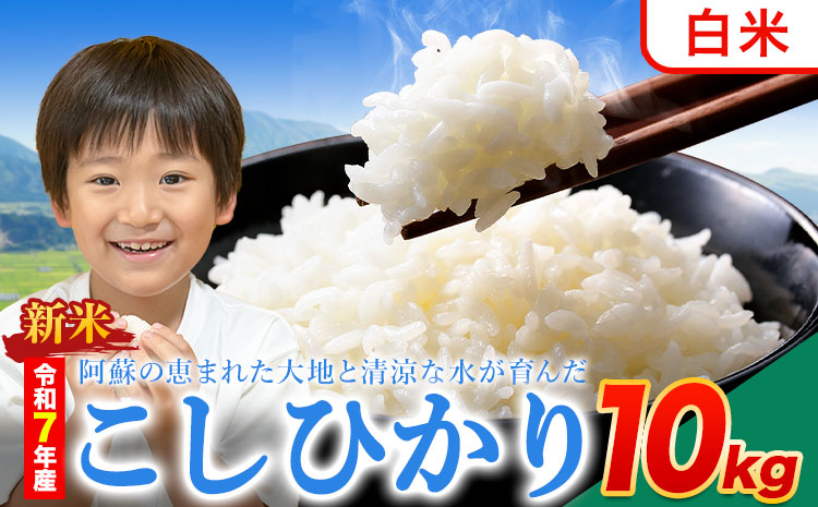 新米 令和7年産 こしひかり 白米  10kg白米 精米 熊本県産(南阿蘇村産含む) 単一原料米 南阿蘇村《12月中旬-2月末頃出荷》---mna_kh7_bc122_26500_10kg_h---