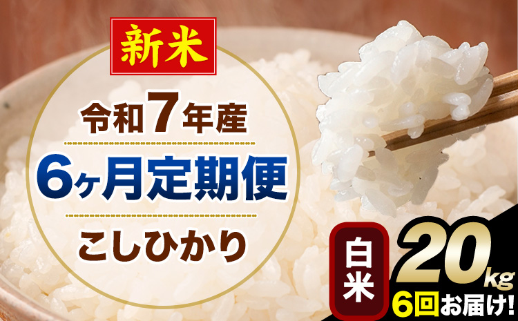 【6ヶ月定期便】新米 令和7年産 定期便 こしひかり 白米 定期便 20kg 精米 熊本県産(南阿蘇村産含む) 単一原料米 南阿蘇村《お申し込みの翌月から出荷》---kh7tei_291000_20kg_mo6_mna_h---