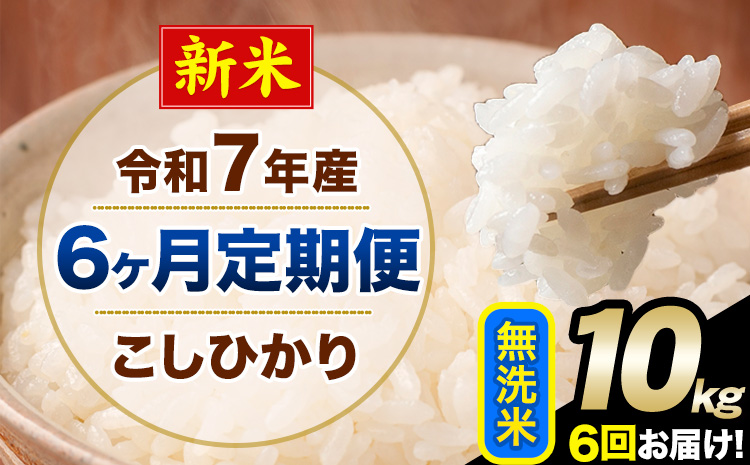 【6ヶ月定期便】新米 令和7年産 定期便 こしひかり 無洗米 定期便 10kg 精米 熊本県産(南阿蘇村産含む) 単一原料米 南阿蘇村《お申し込みの翌月から出荷》---kh7tei_147000_10kg_mo6_mna_m---