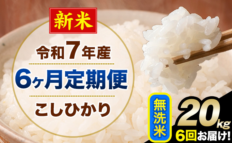 【6ヶ月定期便】新米 令和7年産 定期便 こしひかり 無洗米 定期便 20kg 精米 熊本県産(南阿蘇村産含む) 単一原料米 南阿蘇村《お申し込みの翌月から出荷》---kh7tei_291000_20kg_mo6_mna_m---