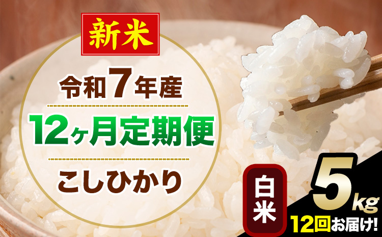 【12ヶ月定期便】新米 令和7年産 定期便 こしひかり 白米 定期便 5kg 精米 熊本県産(南阿蘇村産含む) 単一原料米 南阿蘇村《お申し込みの翌月から出荷》---kh7tei_150000_5kg_mo12_mna_h---