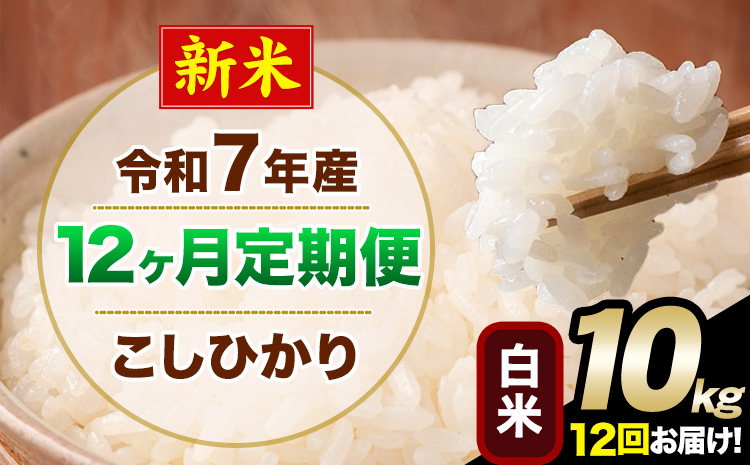 【12ヶ月定期便】新米 令和7年産 定期便 こしひかり 白米 定期便 10kg 精米 熊本県産(南阿蘇村産含む) 単一原料米 南阿蘇村《お申し込みの翌月から出荷》---kh7tei_294000_10kg_mo12_mna_h---