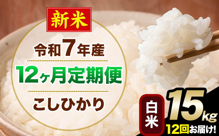 【12ヶ月定期便】新米 令和7年産 定期便 こしひかり 白米 定期便 15kg 精米 熊本県産(南阿蘇村産含む) 単一原料米 南阿蘇村《お申し込みの翌月から出荷》---kh7tei_438000_15kg_mo12_mna_h---