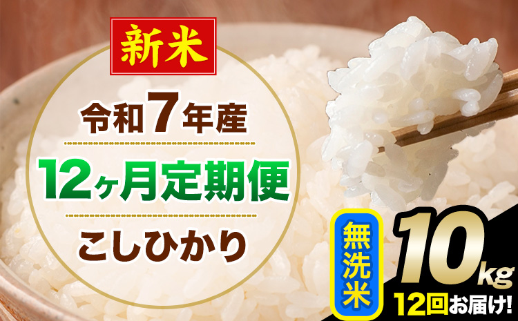 【12ヶ月定期便】新米 令和7年産 定期便 こしひかり 無洗米 定期便 10kg 精米 熊本県産(南阿蘇村産含む) 単一原料米 南阿蘇村《お申し込みの翌月から出荷》---kh7tei_294000_10kg_mo12_mna_m---