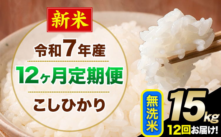 【12ヶ月定期便】新米 令和7年産 定期便 こしひかり 無洗米 定期便 15kg 精米 熊本県産(南阿蘇村産含む) 単一原料米 南阿蘇村《お申し込みの翌月から出荷》---kh7tei_438000_15kg_mo12_mna_m---