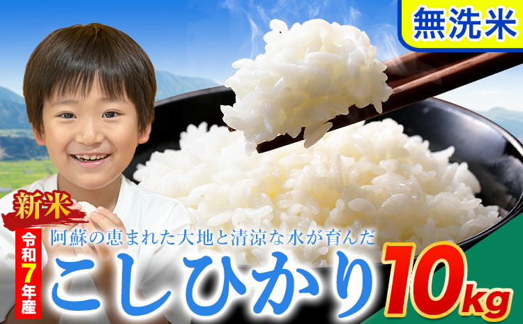 新米 令和7年産 こしひかり 無洗米  10kg 精米 熊本県産(南阿蘇村産含む) 単一原料米 南阿蘇村《12月中旬-2月末頃出荷》---mna_kh7_bc122_26500_10kg_m---