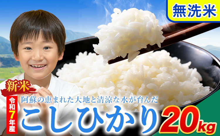 新米 令和7年産 こしひかり 無洗米  20kg 精米 熊本県産(南阿蘇村産含む) 単一原料米 南阿蘇村《12月中旬-2月末頃出荷》---mna_kh7_bc122_52500_20kg_m---