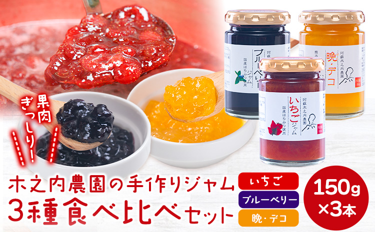 木之内農園の手作りジャム　3種食べ比べセット 150g×3本 《30日以内に出荷予定(土日祝を除く)》 熊本県南阿蘇村 ジャム いちご ブルーベリー 晩白柚 不知火 デコ 苺 大粒 乗せるジャム---isms_kinojibd_30d_r7_8500_3p---